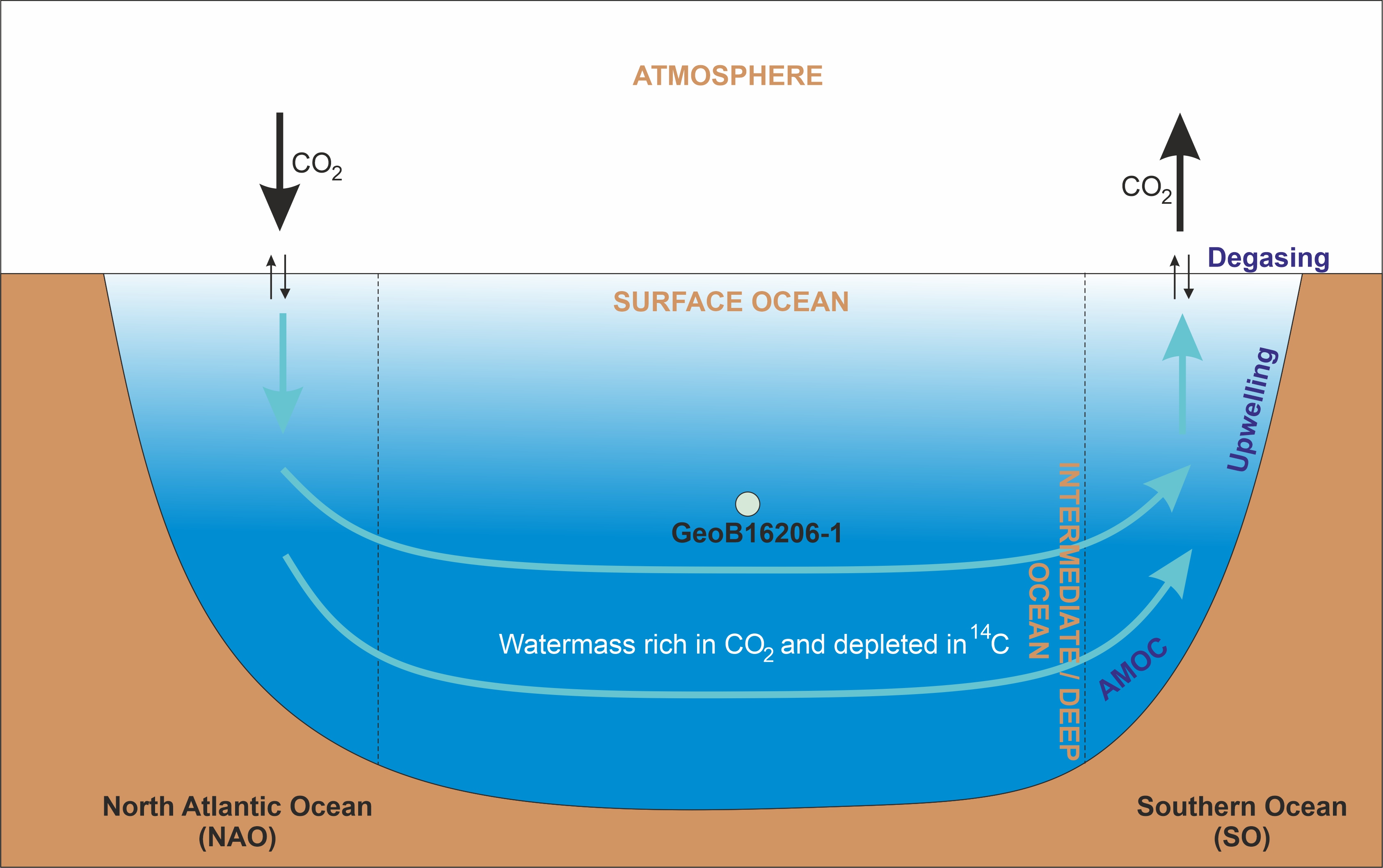 Ocean CO2 Schematic