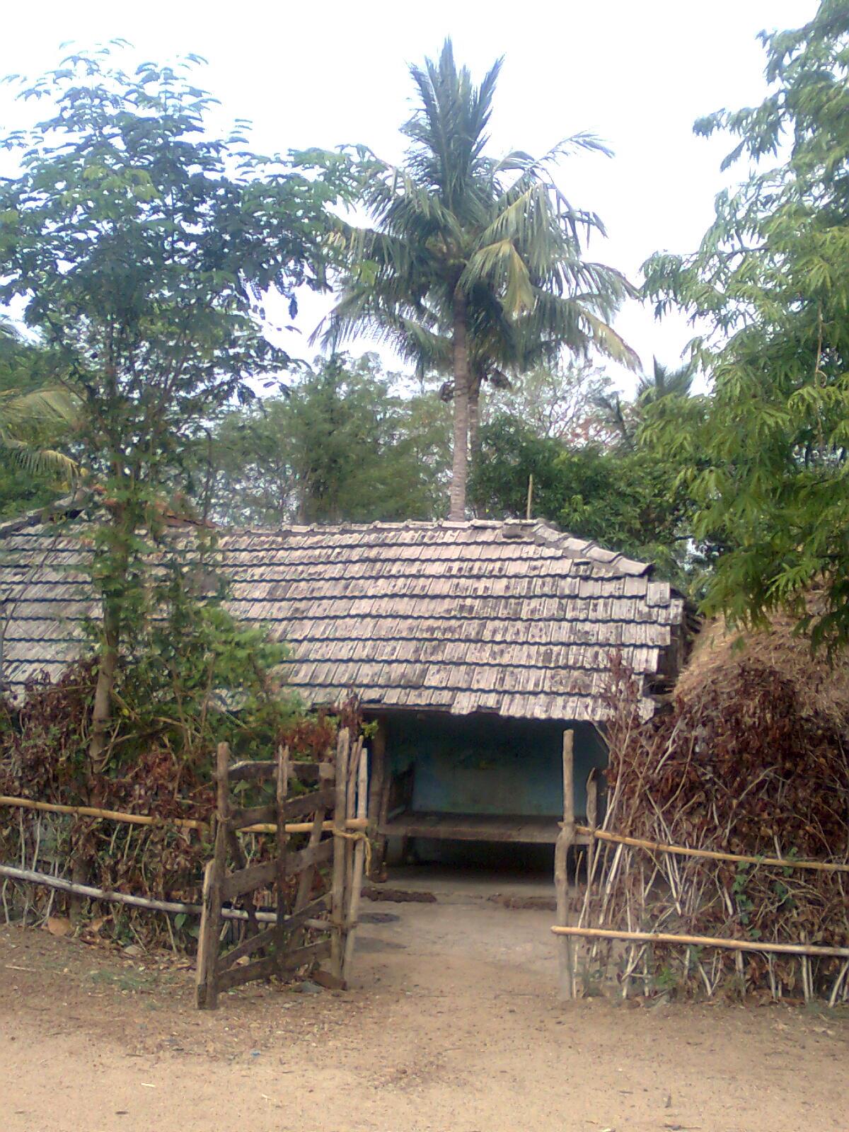 The house
